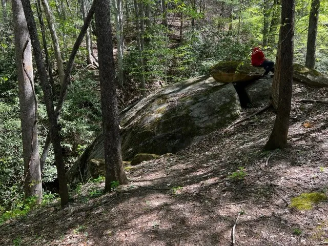 Ingathering retreat in the woods